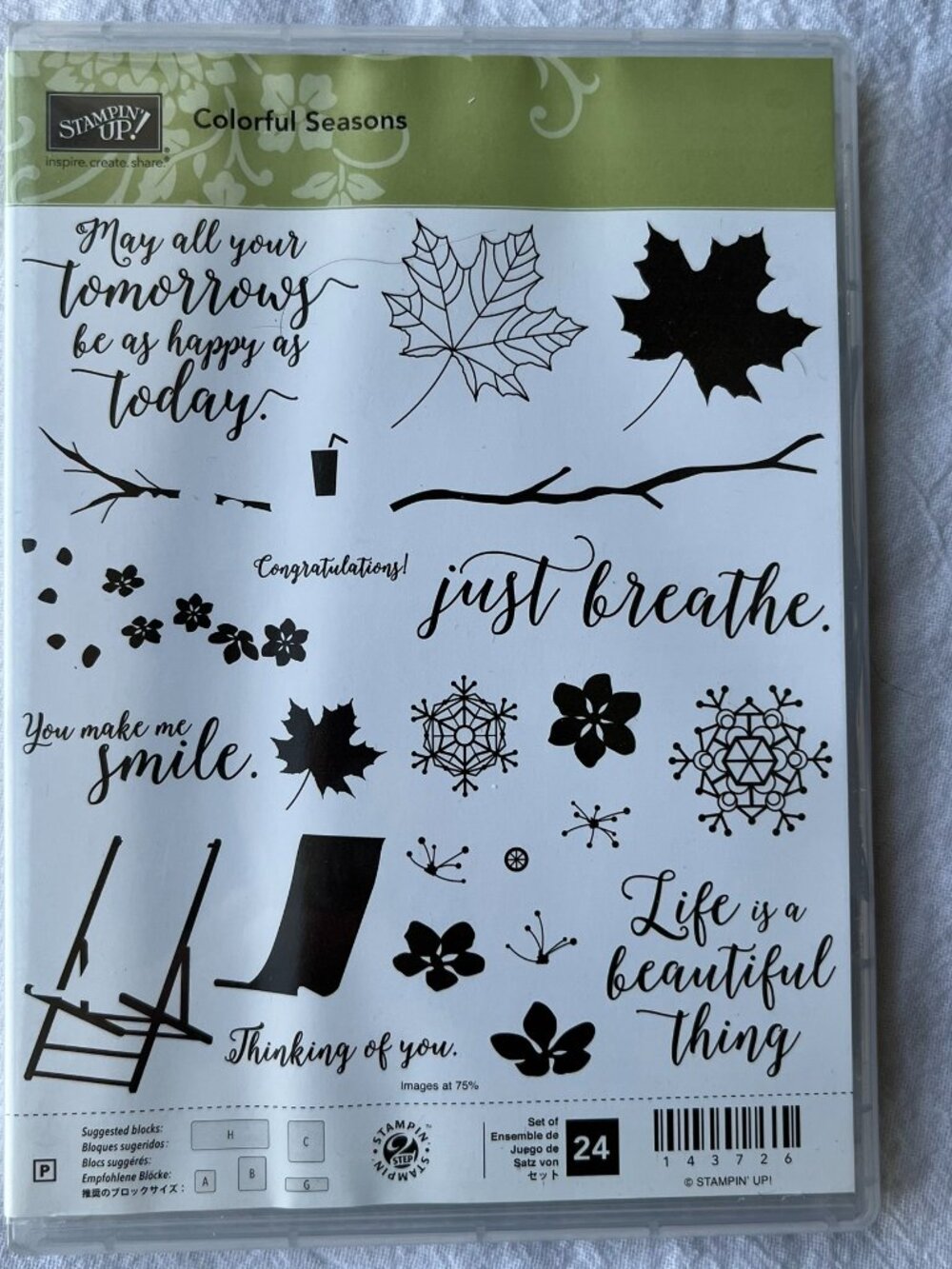 Stampin Up Colorful Seasons Stamp set of 24 2-step stamping Summer Fall Winter